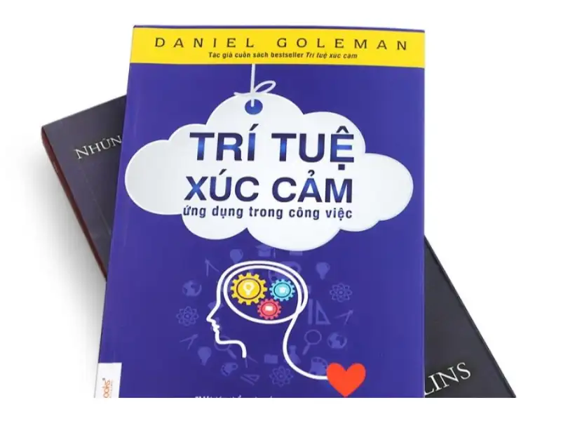 Cuốn sách "Trí tuệ xúc cảm" của Daniel Goleman đã mở ra một cách tiếp cận mới về khái niệm trí tuệ