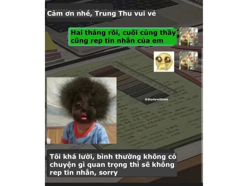 Hình ảnh minh họa sử dụng meme khi nhắn tin