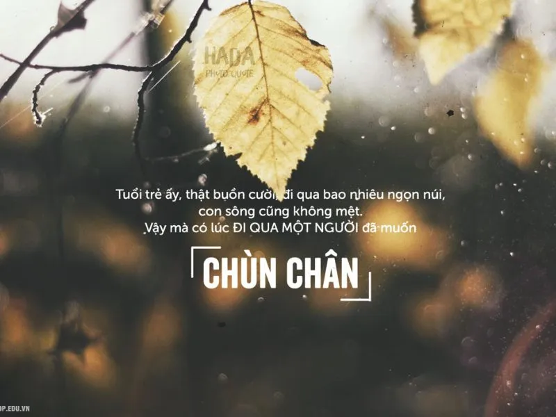 stt-buon-ve-tinh-yeu-cuoc-song-1296