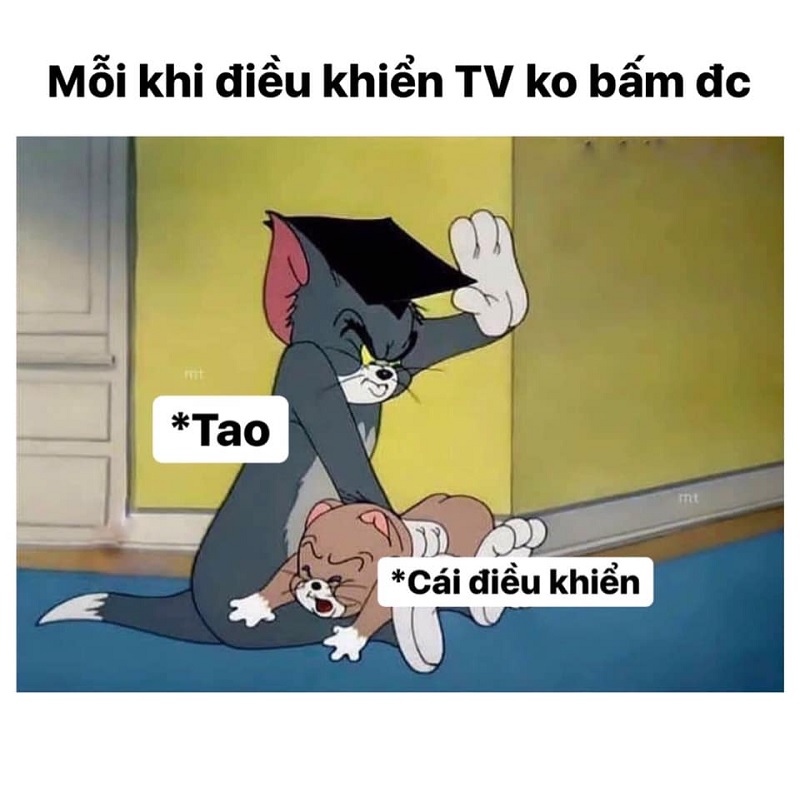 Tom and Jerry meme  Phim hoạt hình mang đậm dấu ấn tuổi thơ