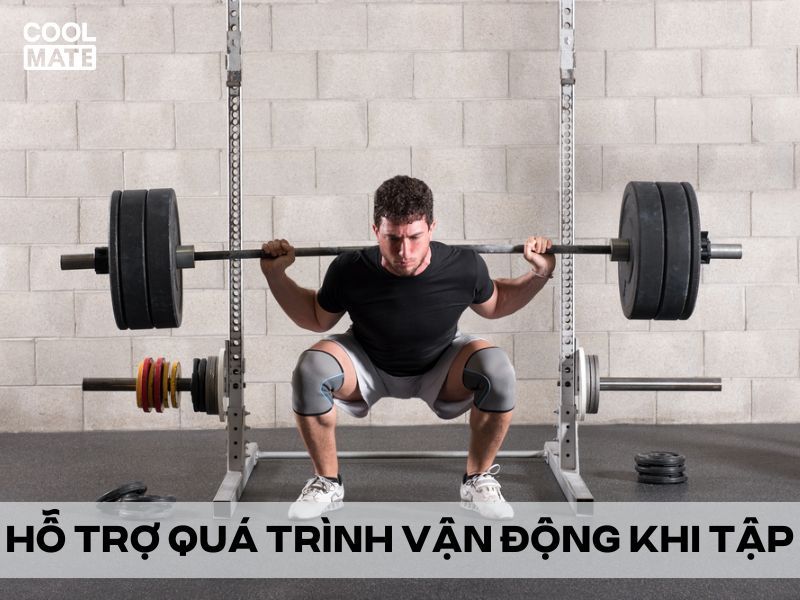 Hỗ trợ quá trình vận động 