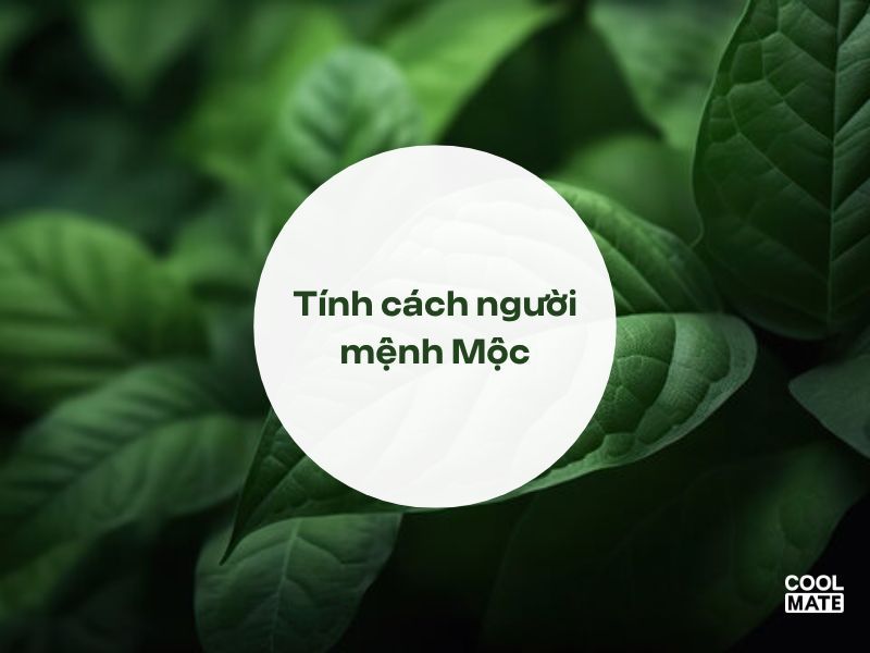 mệnh mộc hợp màu gì