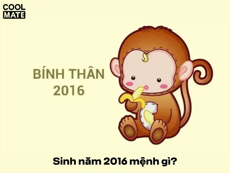 Tuổi Bính Thân 2016 Hợp Màu Gì? Khám Phá Màu Sắc May Mắn Giúp Tăng Vượng Khí