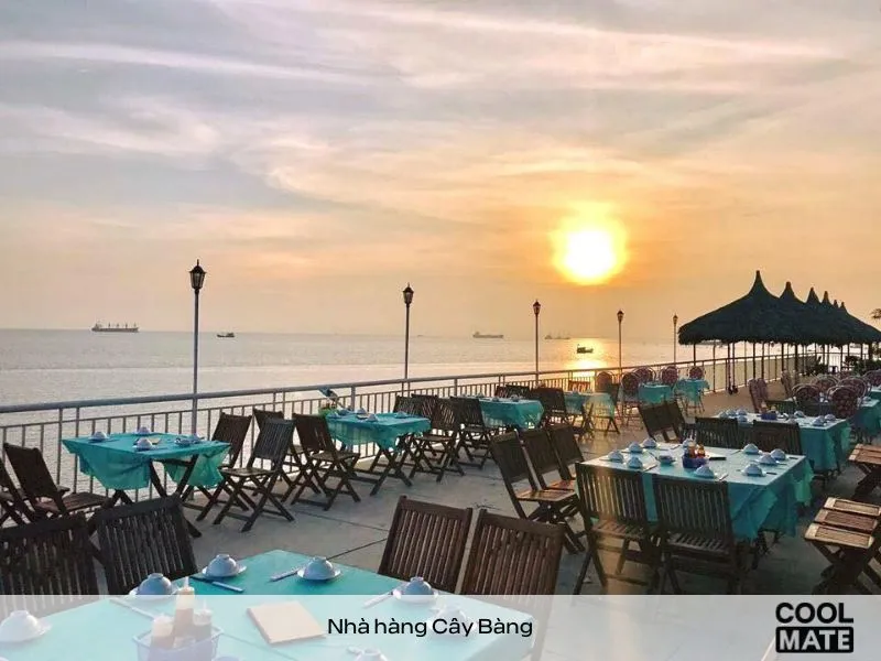 Cây Bàng - Nhà hàng view biển sang trọng