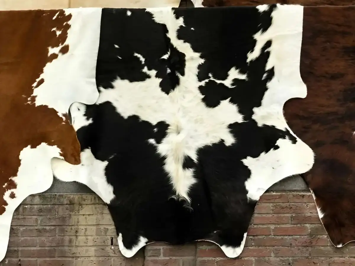 Da Calfskin sở hữu nhiều ưu điểm nổi bật nhưng bên cạnh đó dòng da này cũng vẫn có những điểm hạn chế nhất định