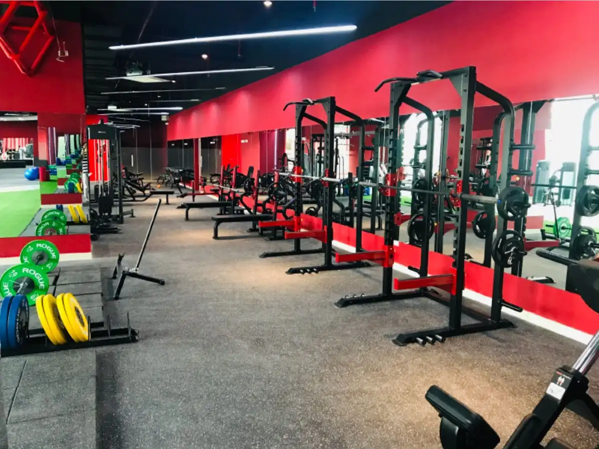 Phòng tập gym Nshape Fitness
