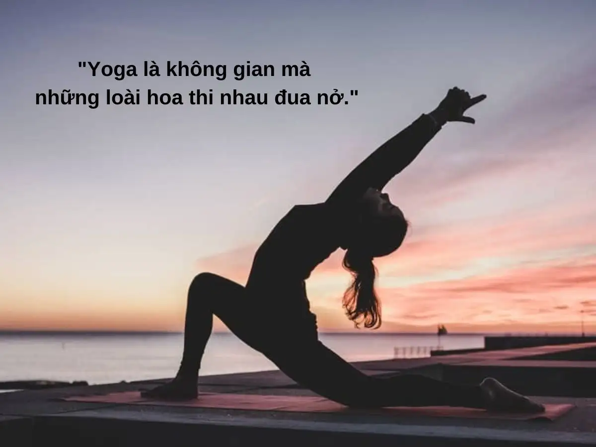 Những câu nói hay về yoga từ các chuyên gia và bậc thầy