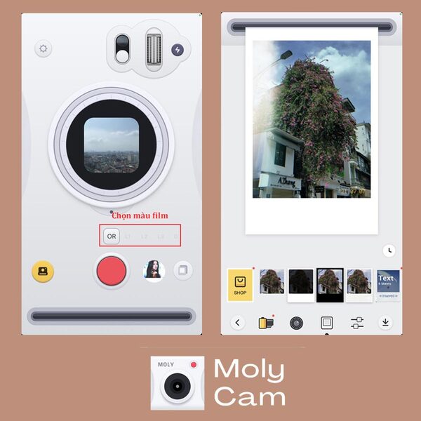 Một trong những app chụp ảnh film đẹp có thể kể đến là Moly Cam