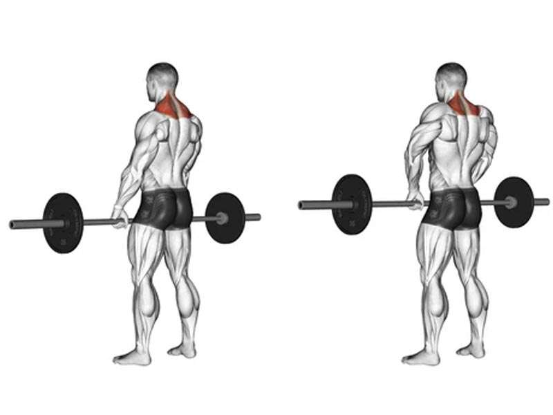 Bài tập cơ cầu vai Barbell Shrugs