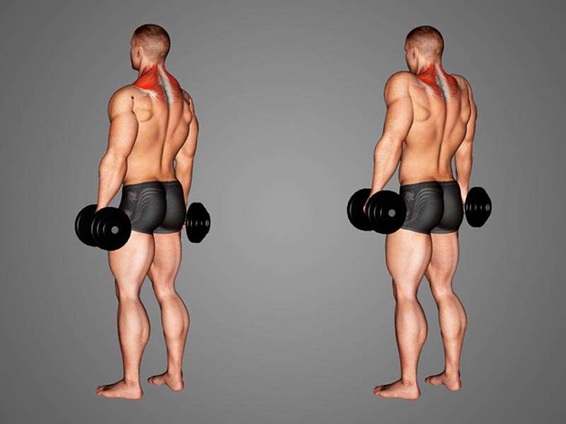 Dumbbell Shrugs - Tập cơ cầu vai tại nhà