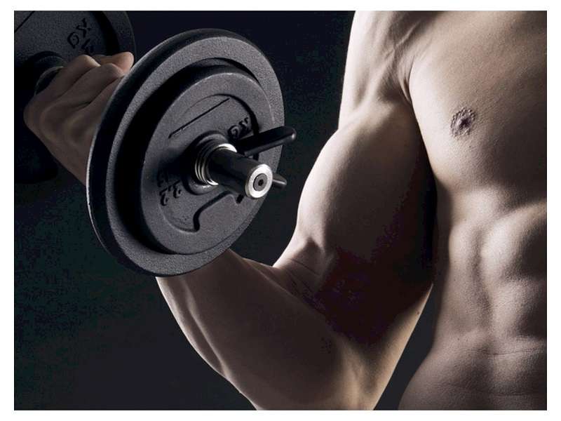 l-carnitine là gì? Nó có khả năng tăng cường hiệu suất thể lực và nâng cao độ bền của cơ bắp