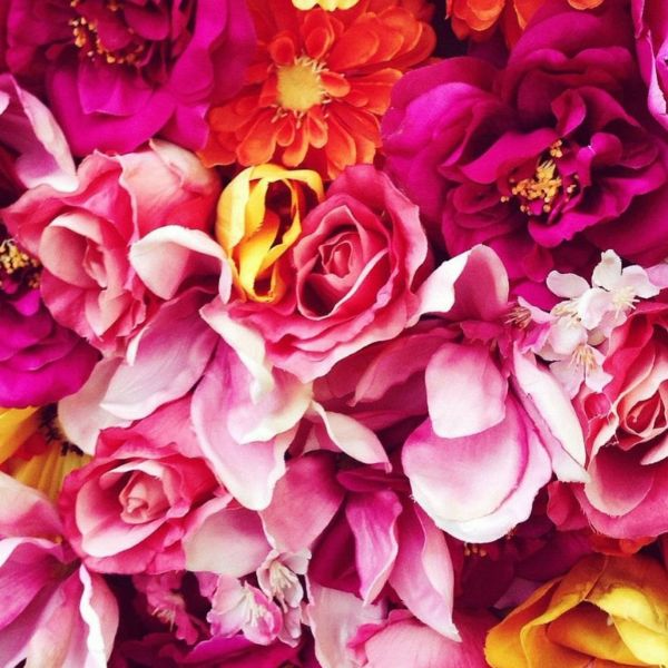 Floral là nhóm hương nước hoa khá phổ biến