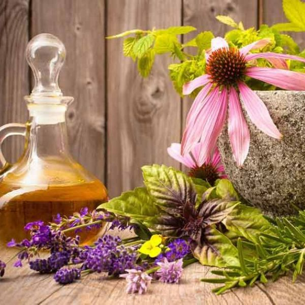 Nhóm hương Aromatic là sự tổng hòa của nhiều mùi hương khác nhau