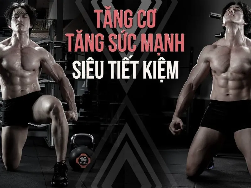 pre-workout-la-gi-thanh-phan-tac-dung-va-cach-dung-cho-gymer-1788