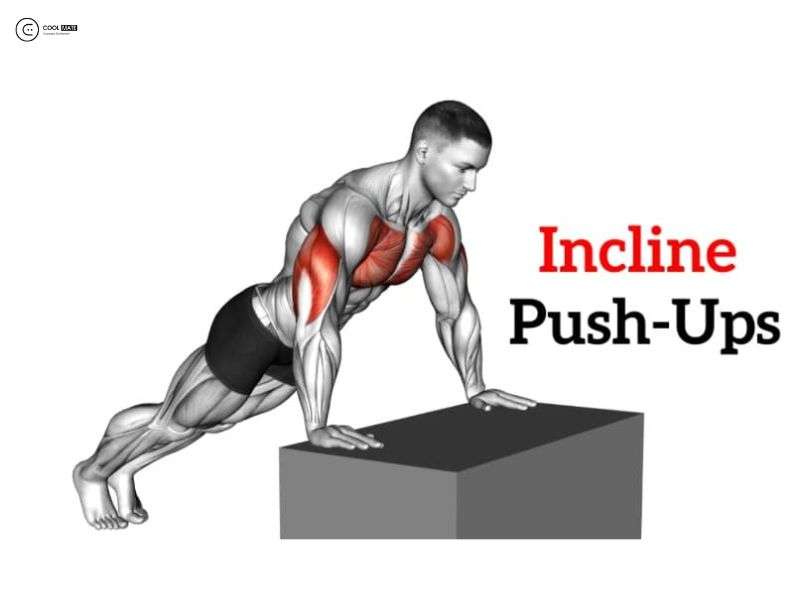 push-ups-la-gi-huong-dan-hit-dat-dung-cach-chi-tiet-cho-nam-moi-tap-1761