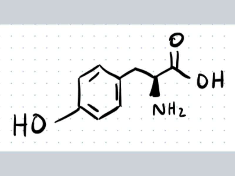 tyrosine