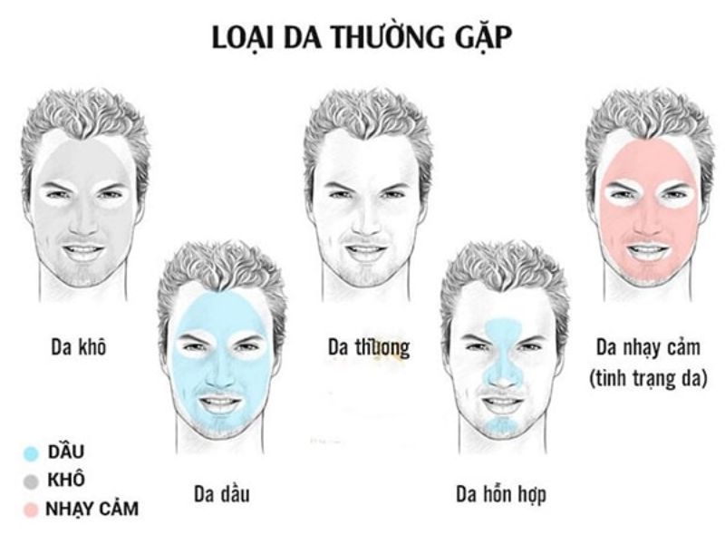 Các loại da thường gặp