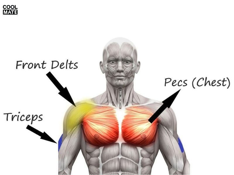 cac-nhom-co-tap-gym-la-gi-1794