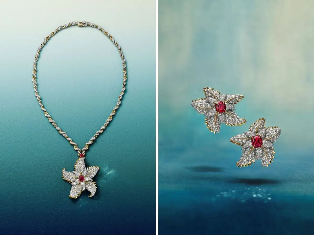 Chương Starfish với hình ảnh sao biển