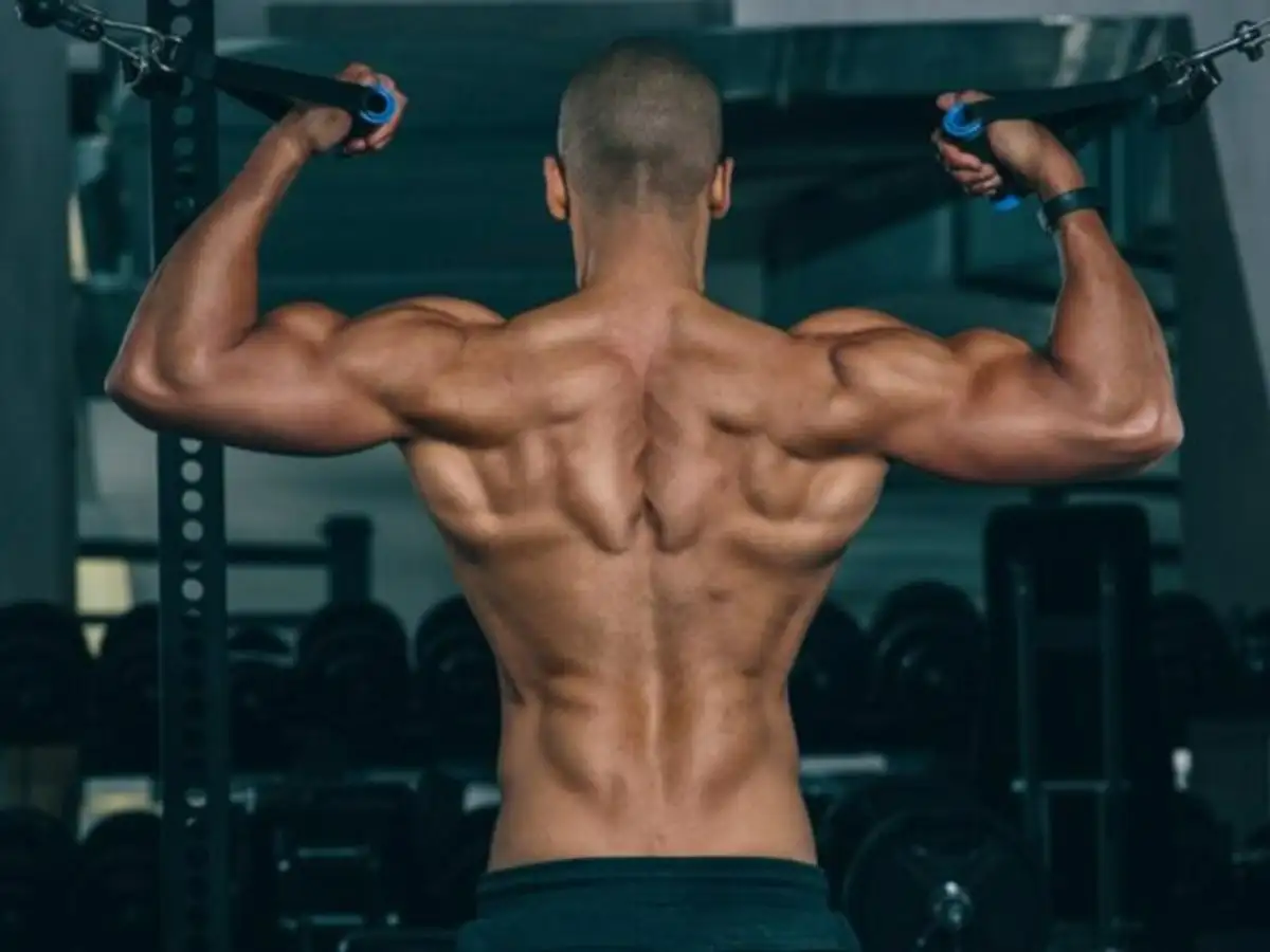 Chăm sóc sức khỏe cơ lưng dưới là nền tảng quan trọng cho mọi hoạt động hàng ngày