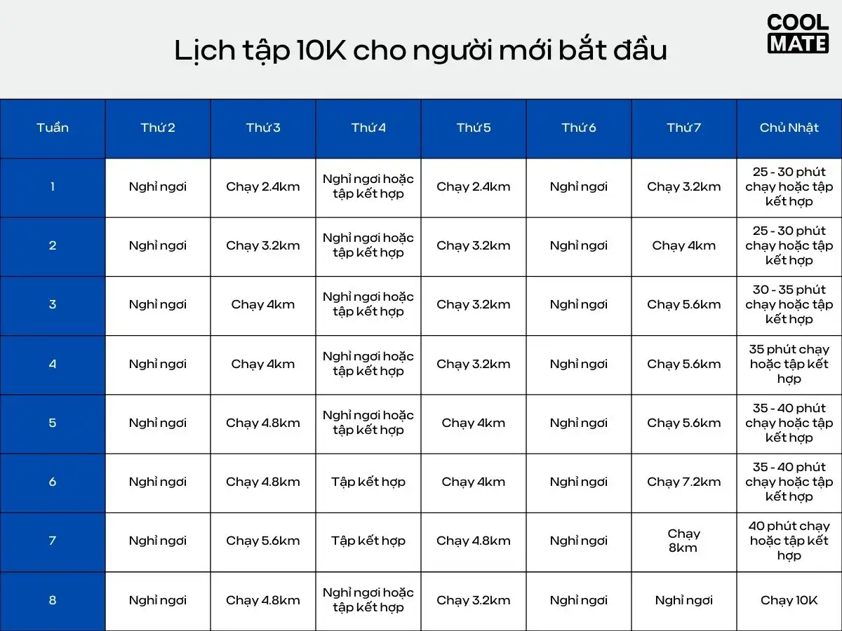 Lịch tập gợi ý cho người mới bắt đầu