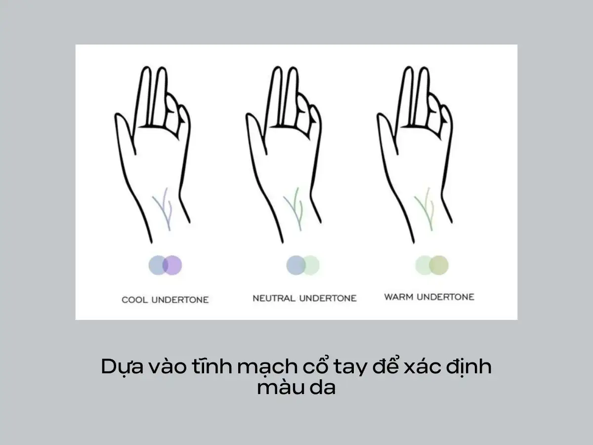 Xem màu tĩnh mạch để xác định da