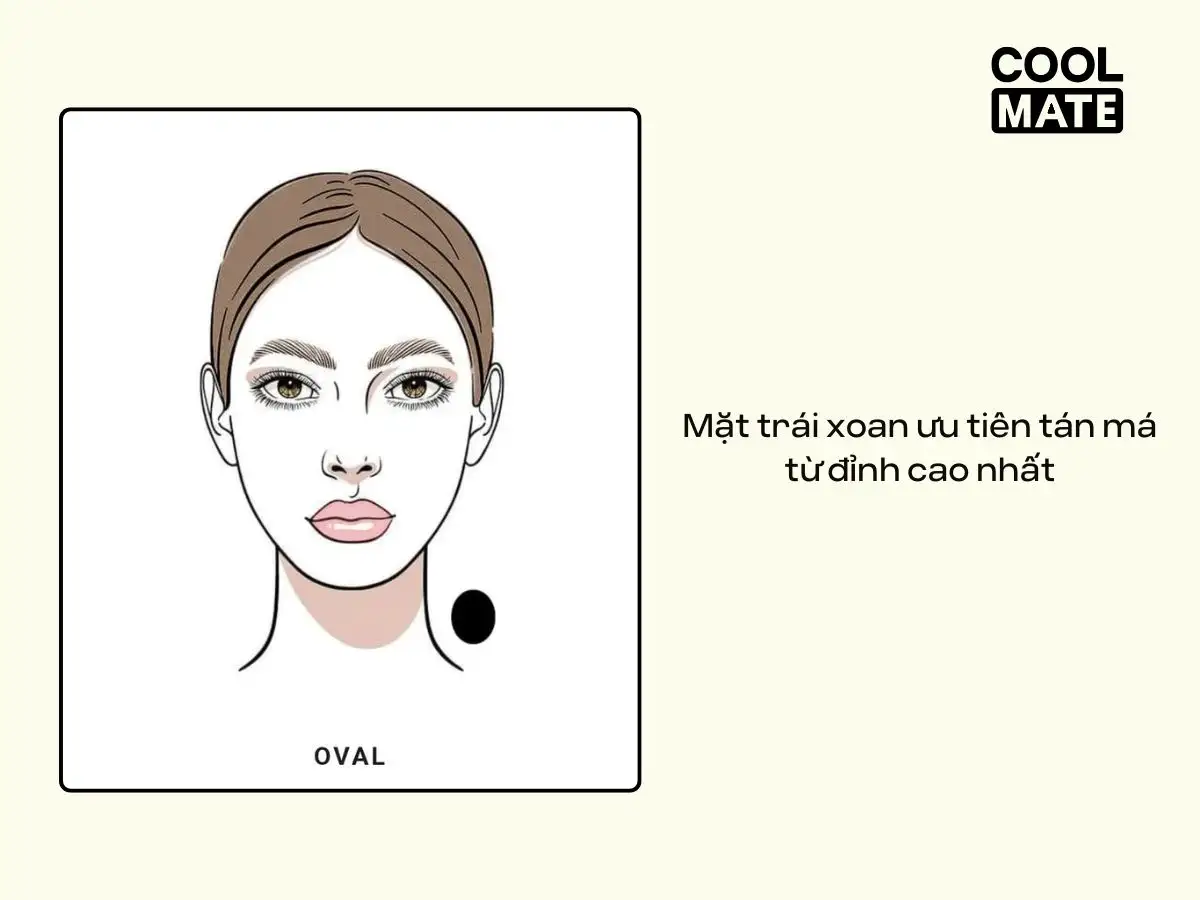 Người có gương mặt trái xoan ưu tiên tán má hồng từ đỉnh cao nhất của gò má