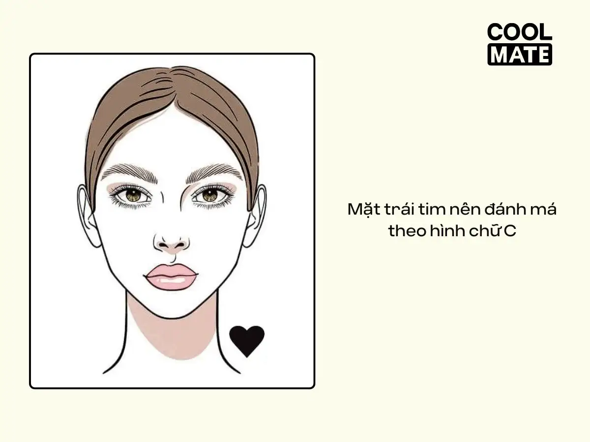 Mặt trái tim nên đánh má theo hình chữ C
