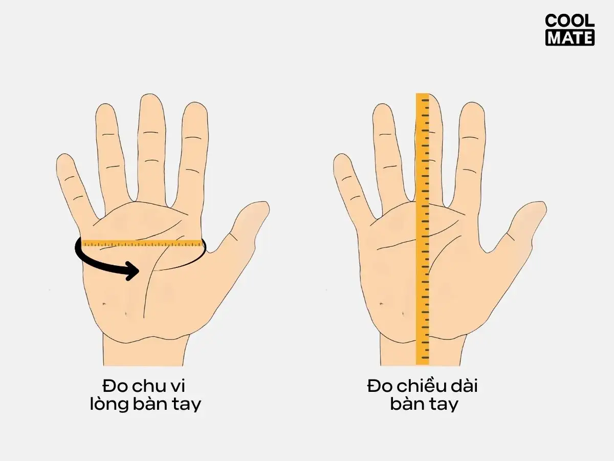 Cách đặt thước dây để đo chu vi lòng bàn tay và đo chiều dài bàn tay