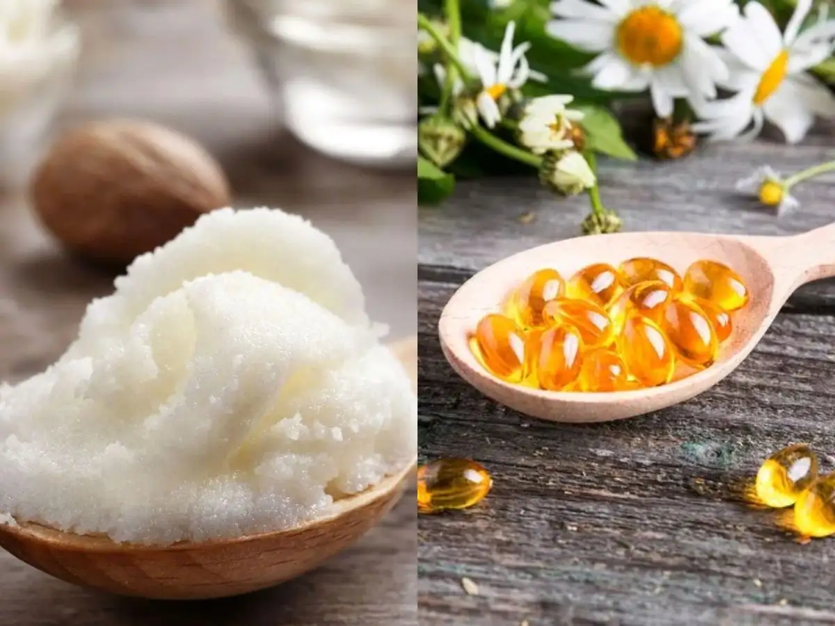 Son dưỡng từ bơ hạt mỡ và vitamin E giúp mềm mịn da môi
