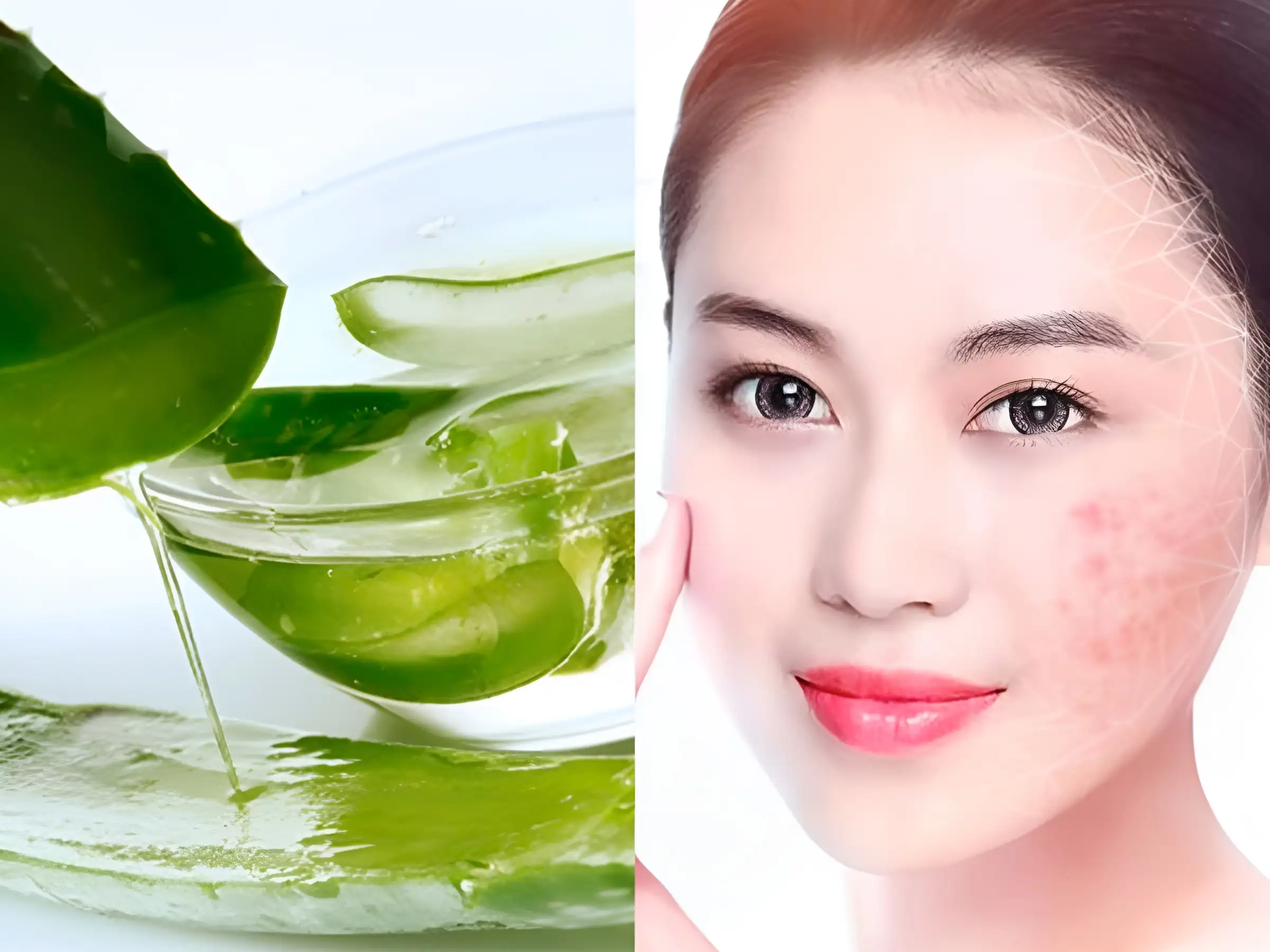 Nha đam là siêu sao trong việc làm dịu da gần như tức thì
