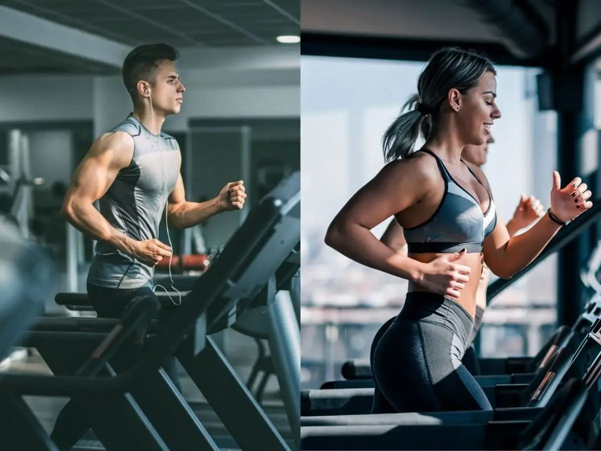 Máy chạy bộ trên thị trường có độ bền và hiệu quả vận hành tốt