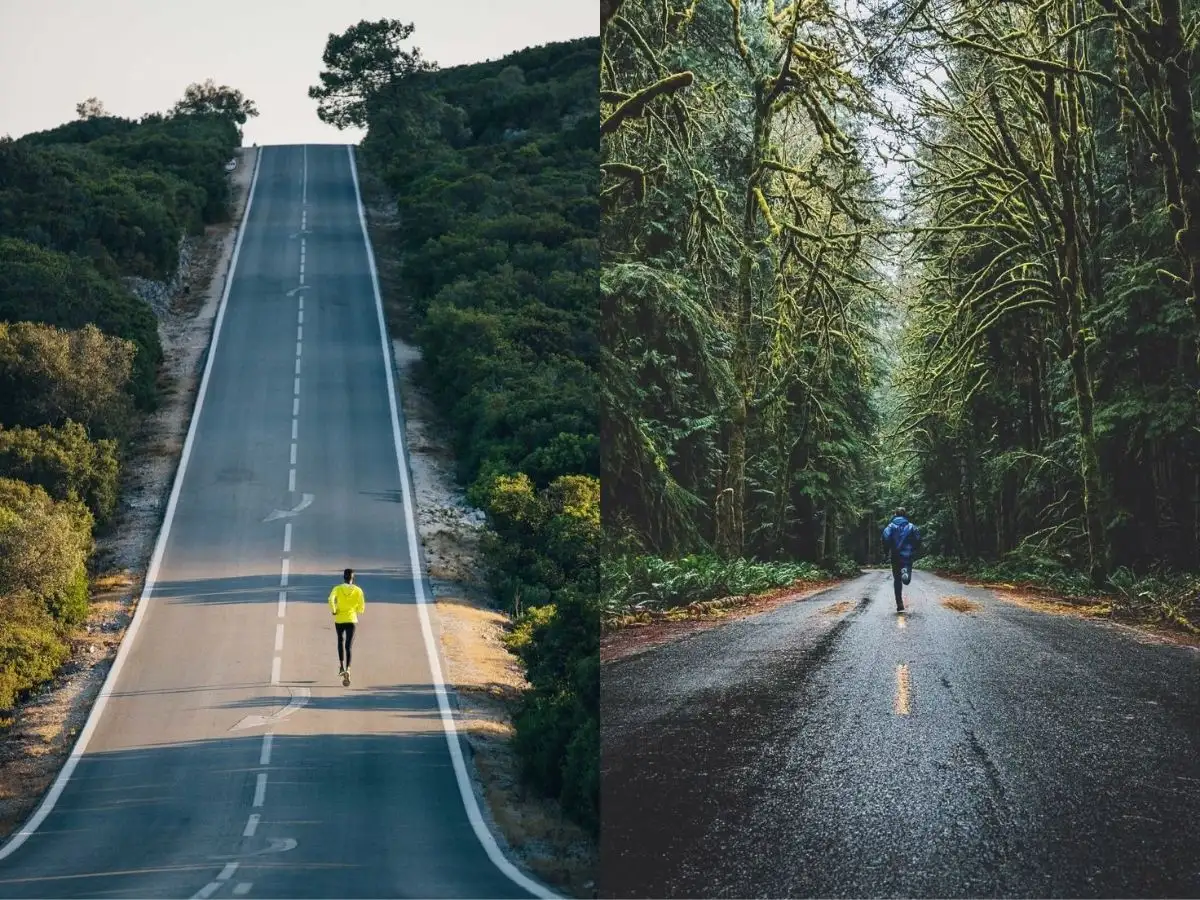 Đặc điểm nhận diện của chạy road