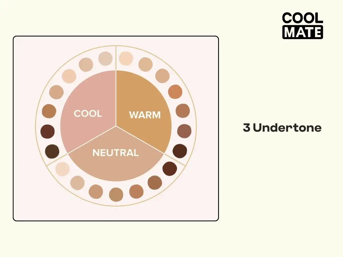 3 Undertone cơ bản