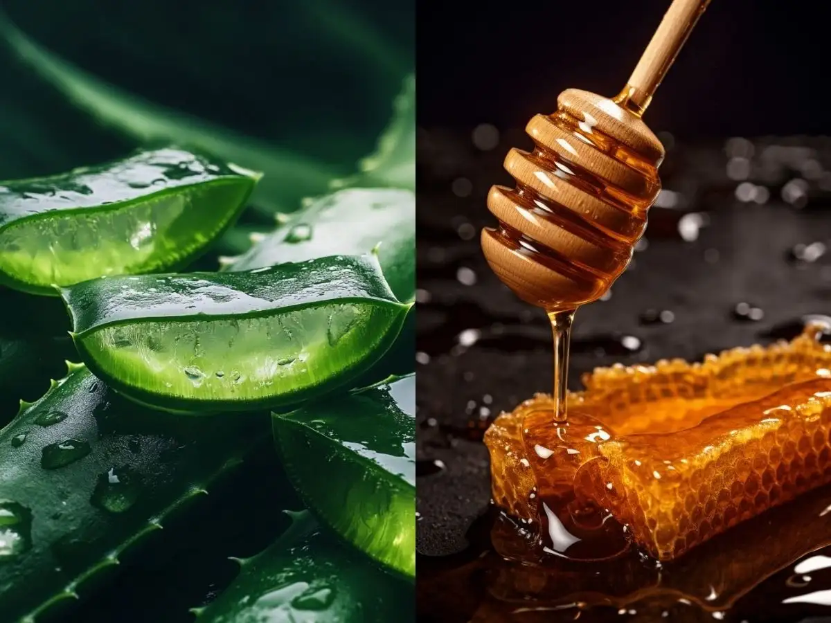 Mẹo làm dịu môi tức thì tại nhà
