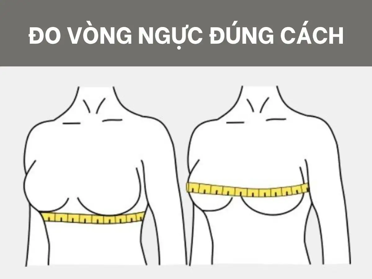 Đo size áo ngực đúng chuẩn là cực kỳ quan trọng để đảm bảo sự thoải mái