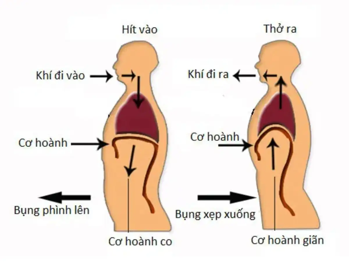 Kỹ thuật hít thở đúng 