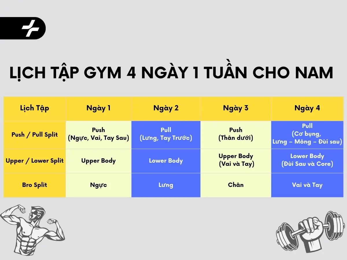 Lịch tập gym 4 ngày 1 tuần cho nam
