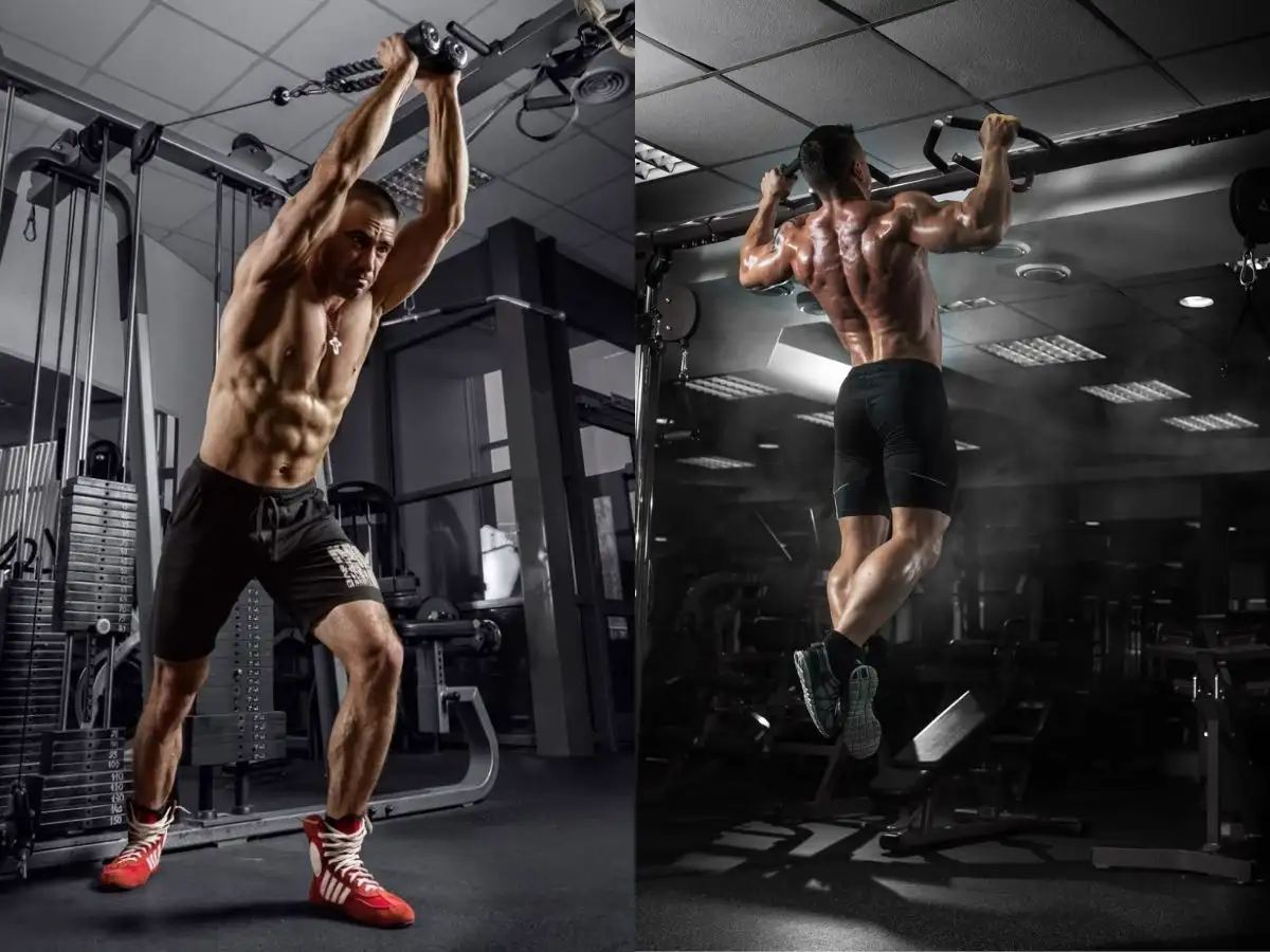 Các bài tập gym thân trên phổ biến cho nam