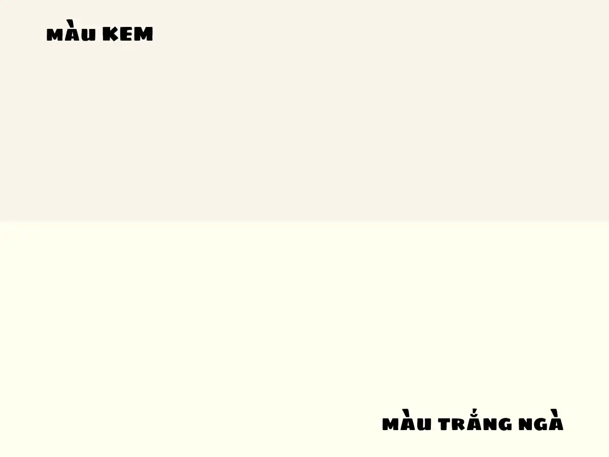 Màu kem vs Màu trắng ngà