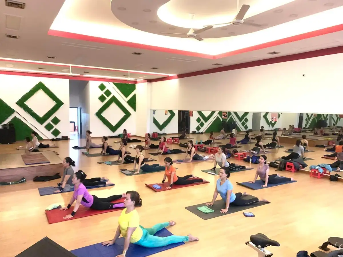 Sức Khỏe Vàng Fitness & Yoga là một địa chỉ cung cấp các lớp học yoga vui nhộn