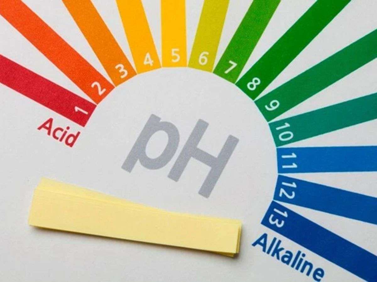 Sữa rửa mặt có độ pH ~5.5 – 6.0 là lựa chọn lý tưởng cho da nhạy cảm