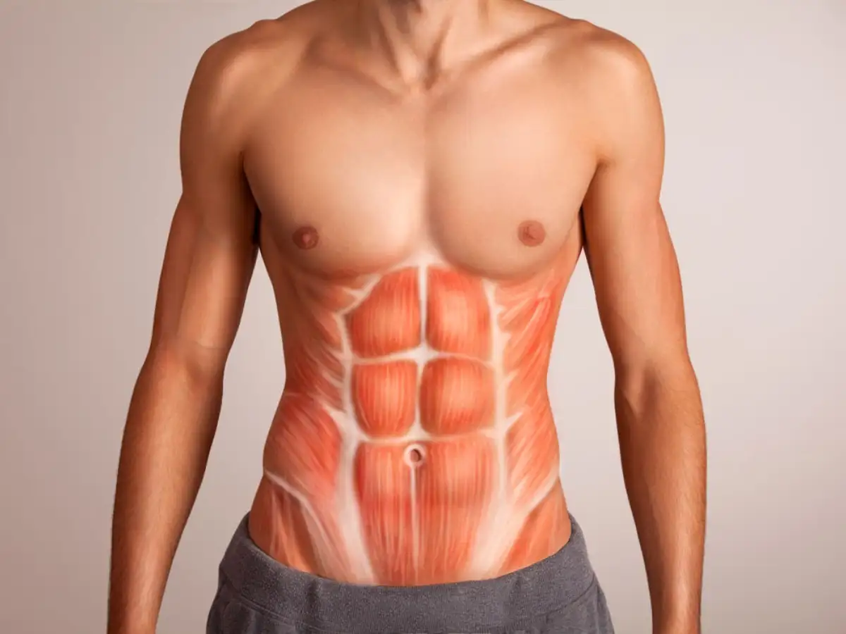 Abs trong gym là một thuật ngữ nói về cơ bụng 