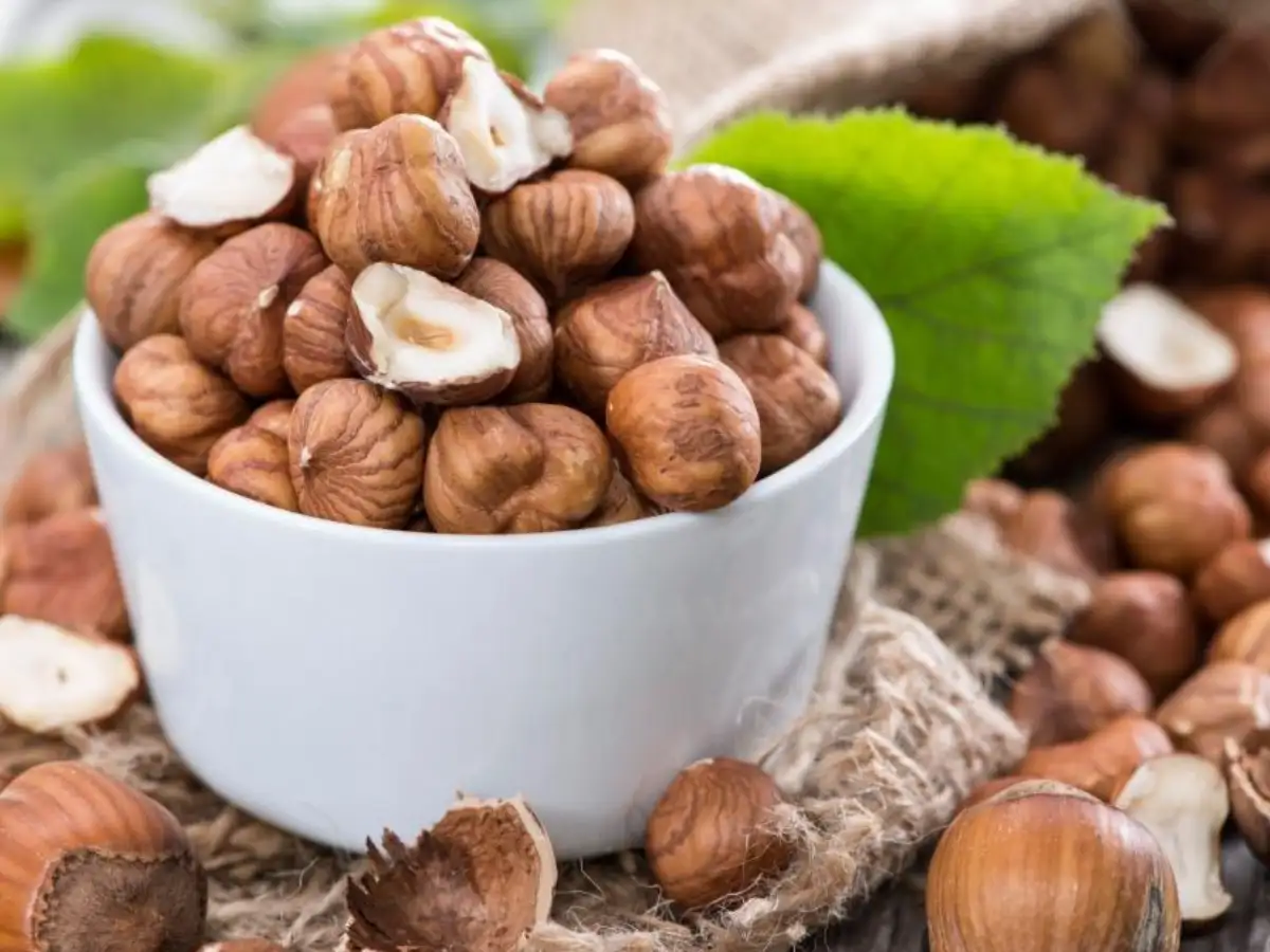 Hạt phỉ cung cấp chất chống lại oxy hóa và bảo vệ tế bào 