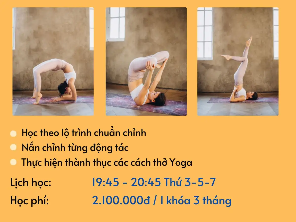 Tham khảo mức phí yoga của từng phòng tập khác nhau để đưa ra lựa chọn phù hợp