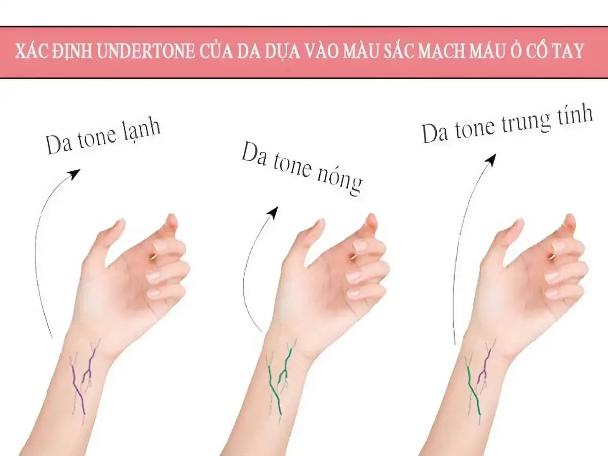 Hướng dẫn xác định sắc độ da dễ dàng qua mạch máu và phản ứng với ánh nắng