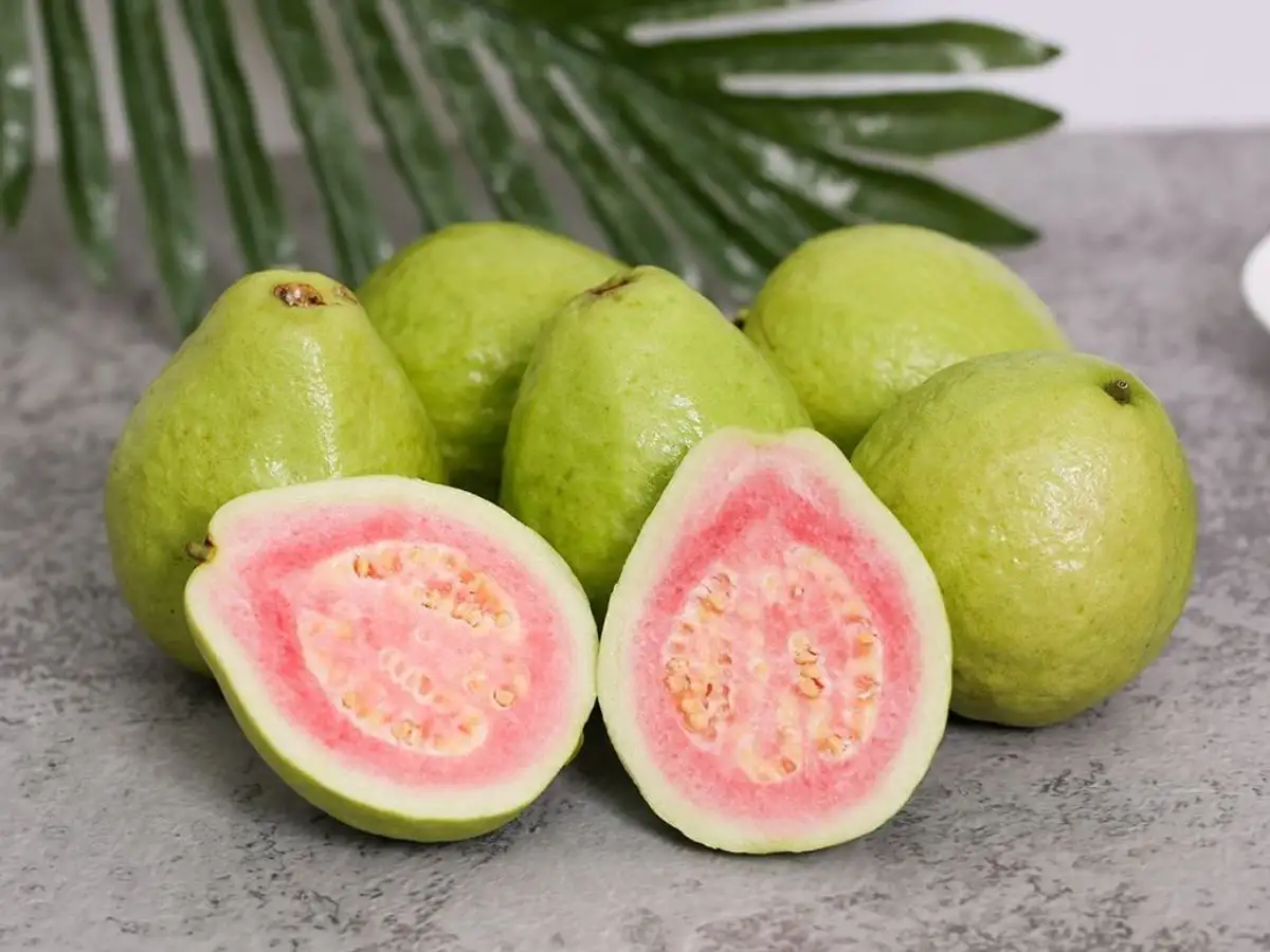 Ổi cung cấp nhiều vitamin và chất xơ cho cơ thể