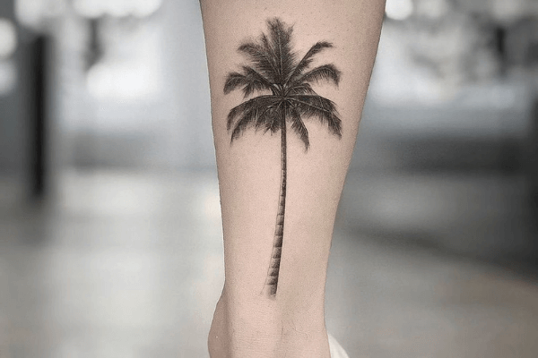 TooArt Tattoo  𝖈𝖔𝖈𝖔𝖓𝖚𝖙 𝖙𝖗𝖊𝖊 Cây dừa mang ý nghĩa bình   Facebook