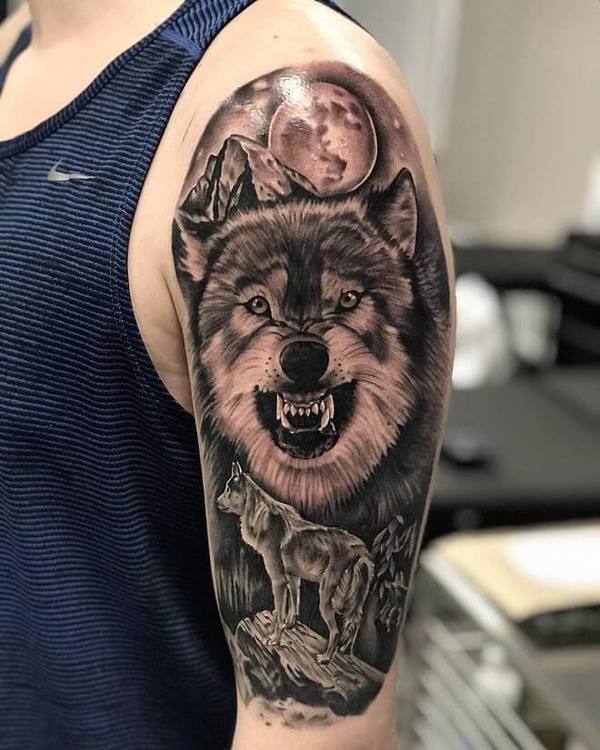 Hình xăm sói - Ý nghĩa biểu tượng và top 99+ hình tattoo sói cực chất -  Cool Mate