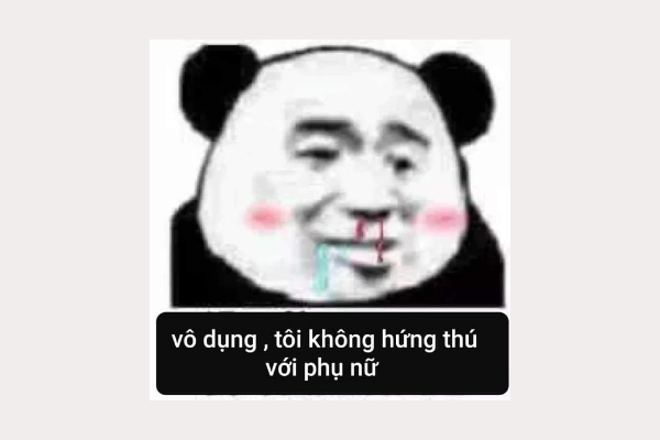 Meme gấu trúc: Tôi có thể tin bạn được không?